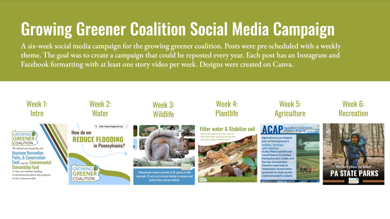 Social Media
